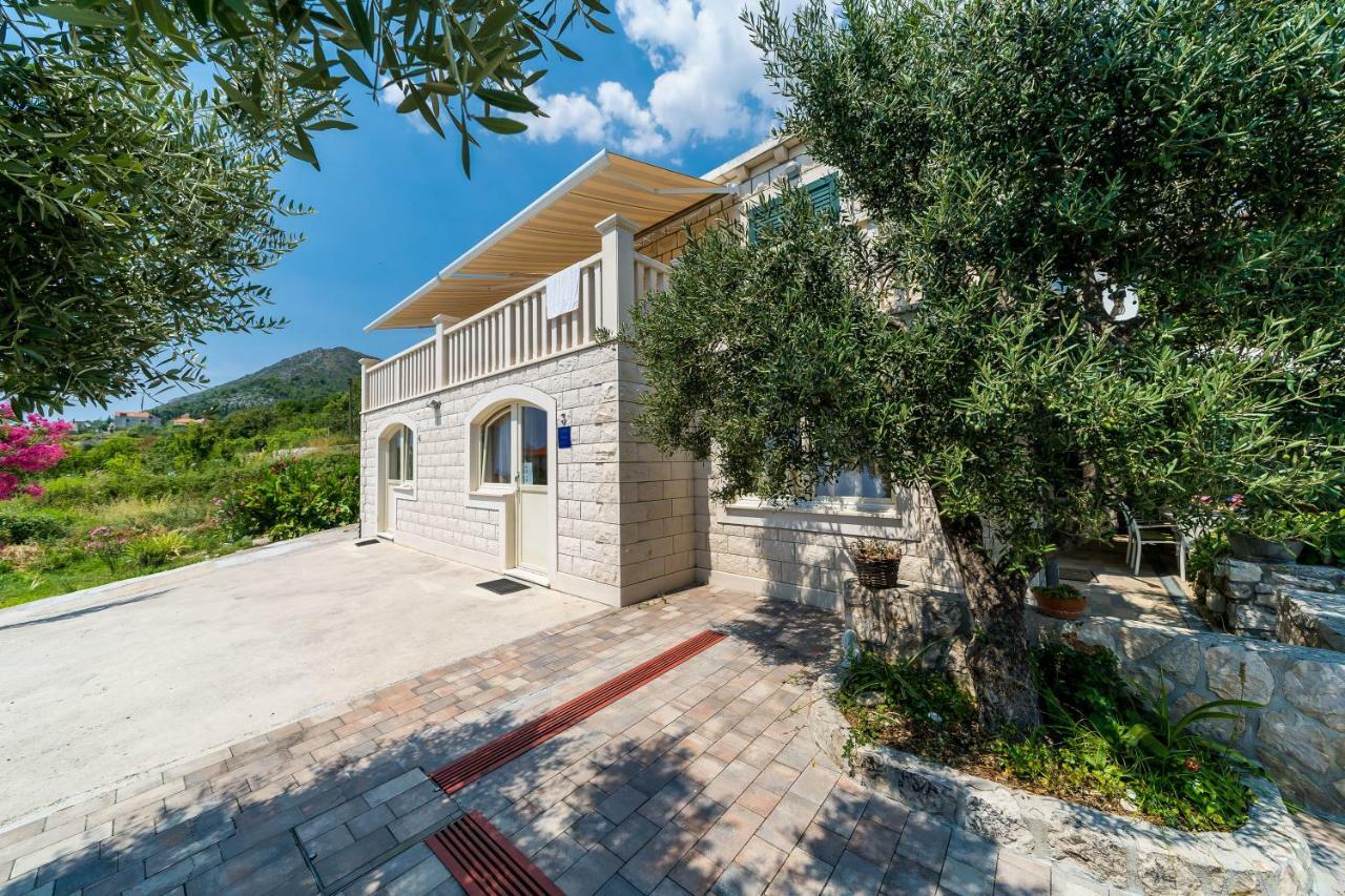 Villa La Vagabonda Orašac Extérieur photo